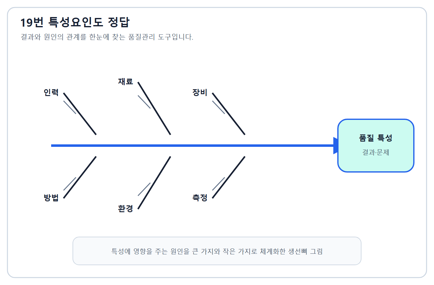 특성요인도 자체 도식